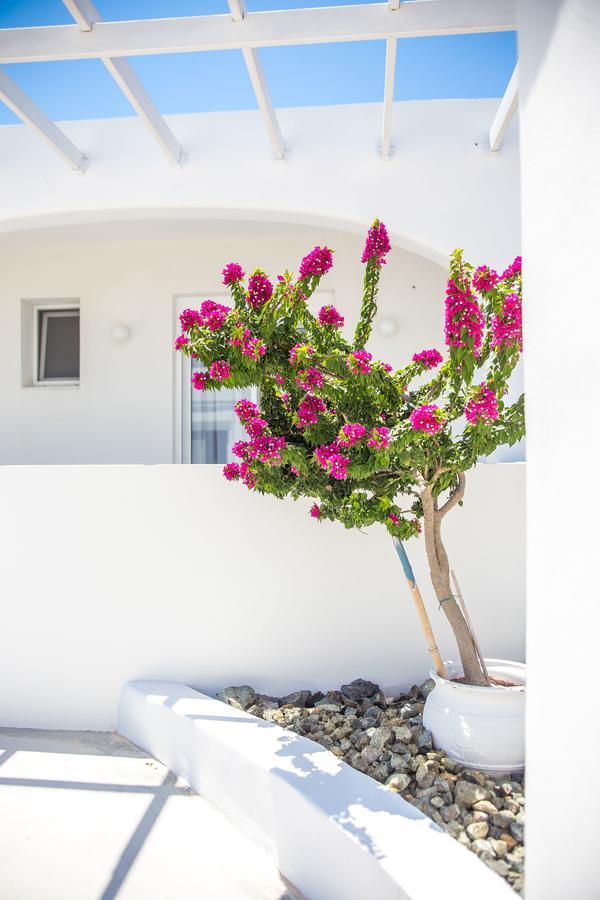 White Passion Villa Afantou Eksteriør billede